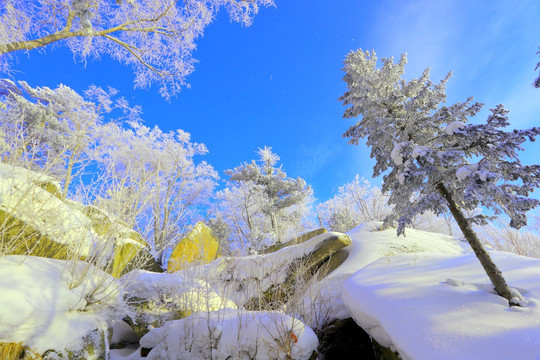 冰雪旅游