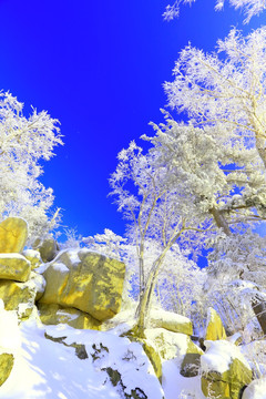 冰雪旅游