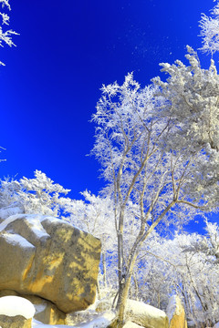 冰雪旅游