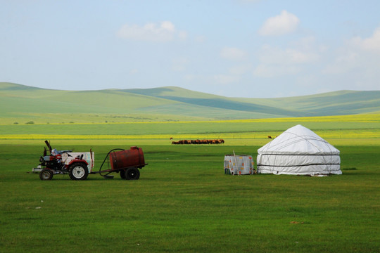 夏季蒙古包 牧场 马群