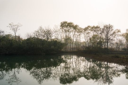 西溪湿地