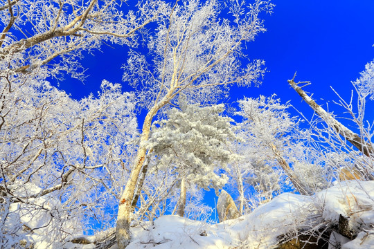 冰雪旅游