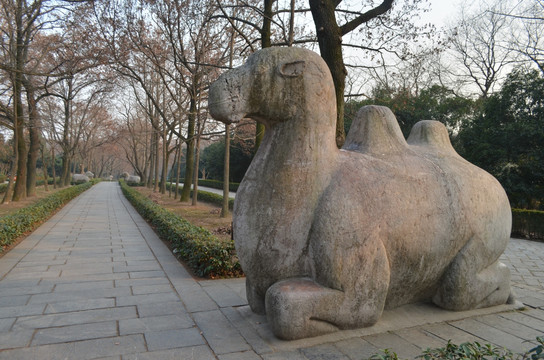 明孝陵神道骆驼雕像