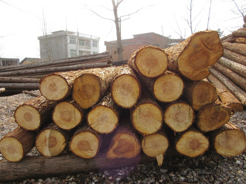 木材加工