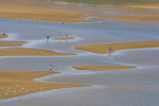 北戴河湿地