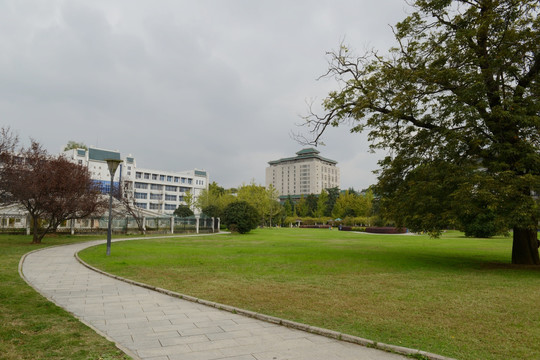 武汉大学 校园