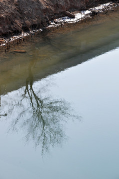 冬日小景