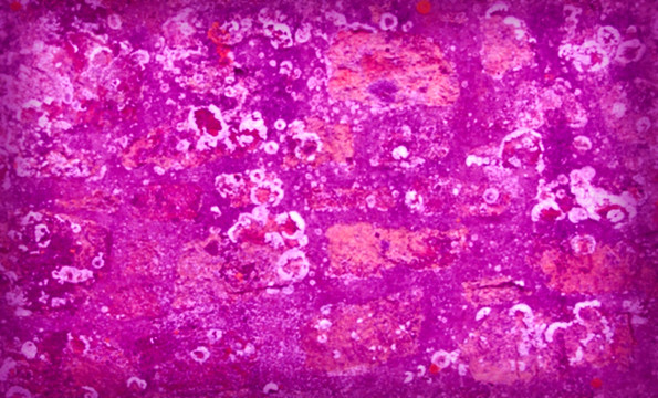 紫色大理石纹理细节高清图