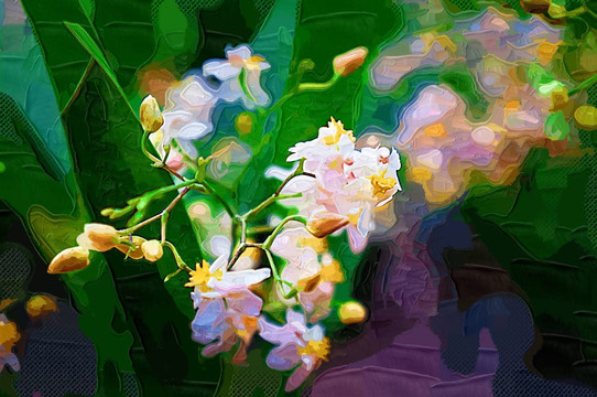 花卉 抽象画