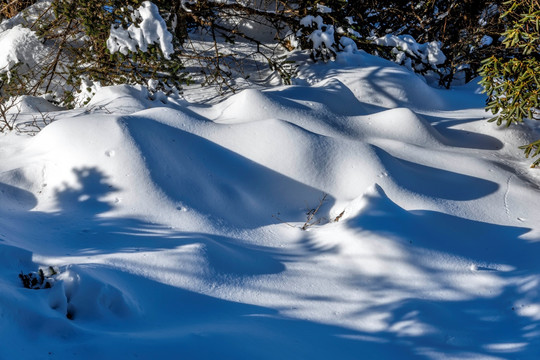 禄劝轿子雪山残雪