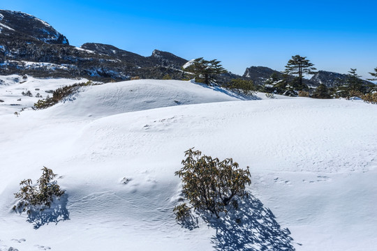 禄劝轿子雪山