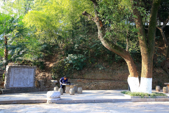 清凉寺公园