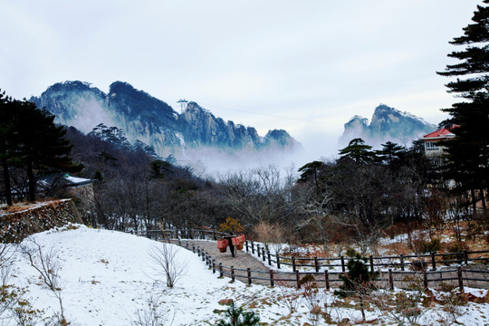 冬景 黄山风光