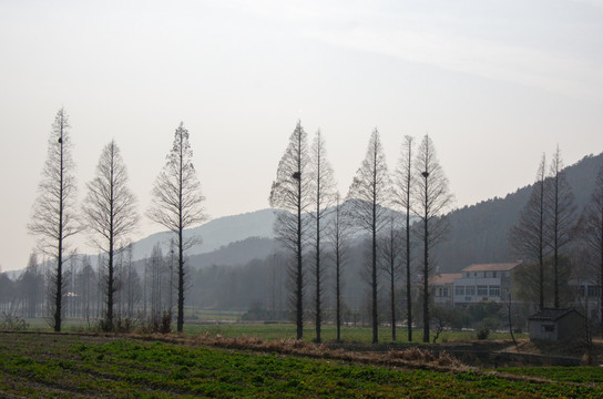 冬季田园风光