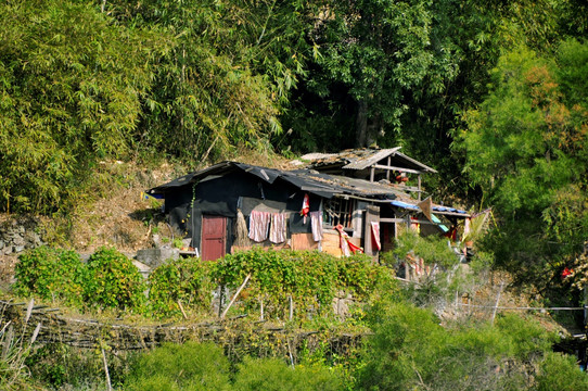 山沟里破败的小屋子