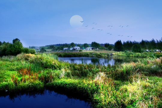 月亮 湿地