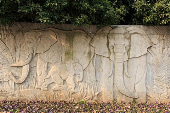 动物浮雕 大象
