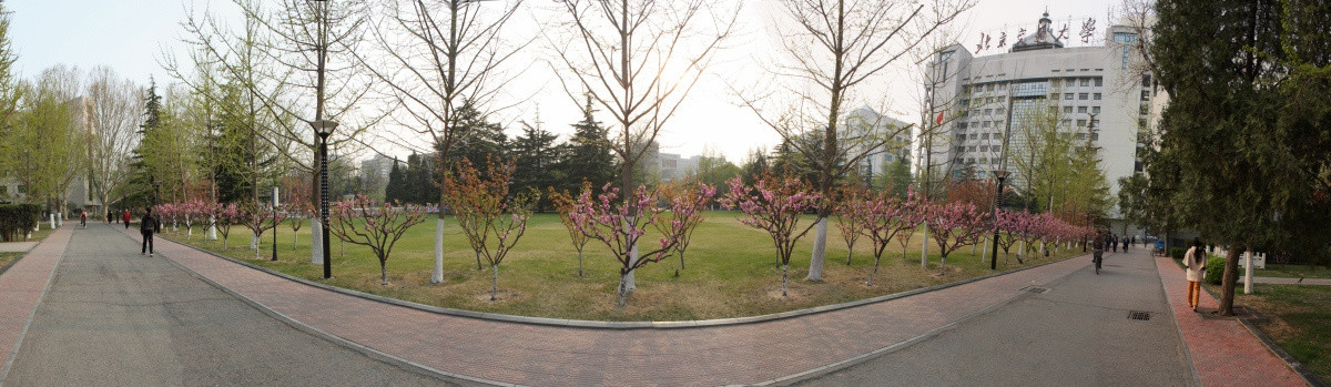 北京交通大学桃花主楼全景