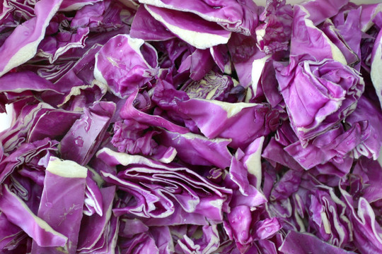 紫色大头菜