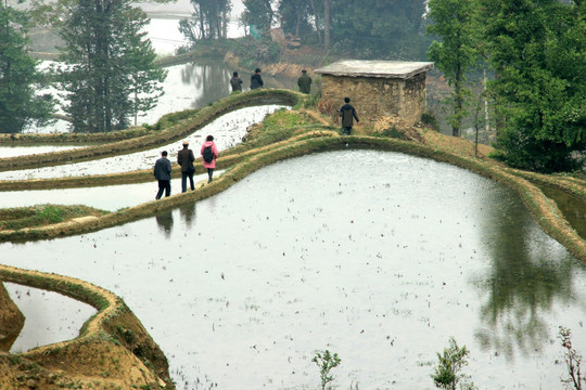 原阳梯田