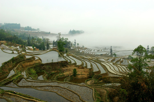 原阳梯田