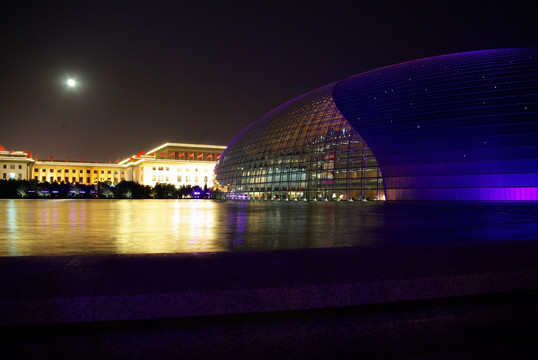 紫色国家大剧院人民大会堂夜景