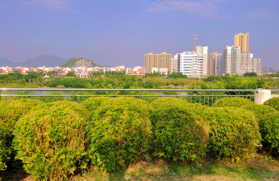 城市绿化空间景观