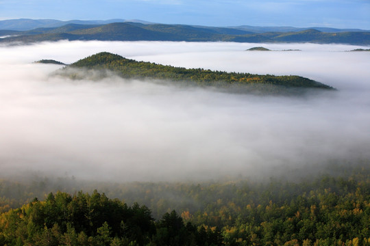 山林之雾