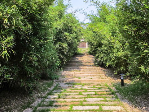 竹林步道