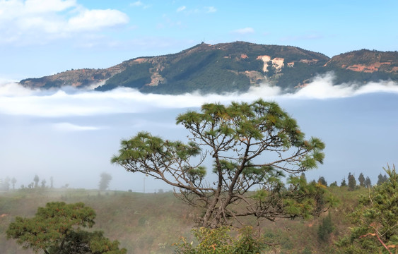 红河哀牢山云雾