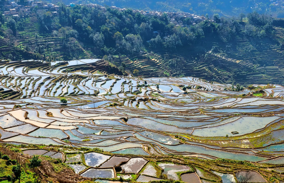 红河甲寅梯田