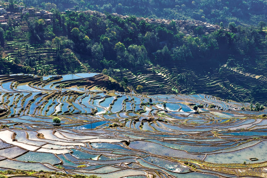 红河甲寅梯田