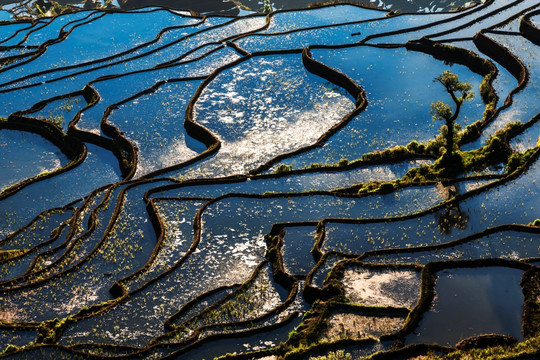 红河甲寅梯田