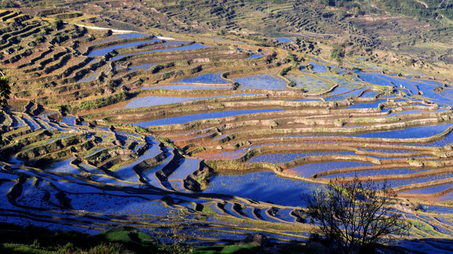 红河撒马坝梯田