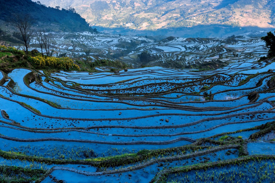 红河撒马坝梯田