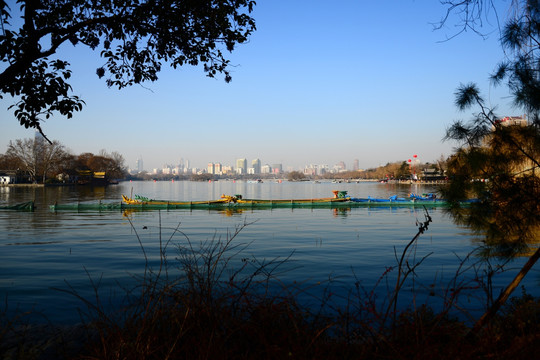 大明湖
