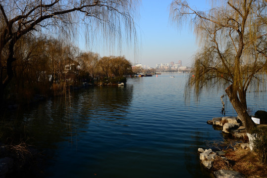 大明湖