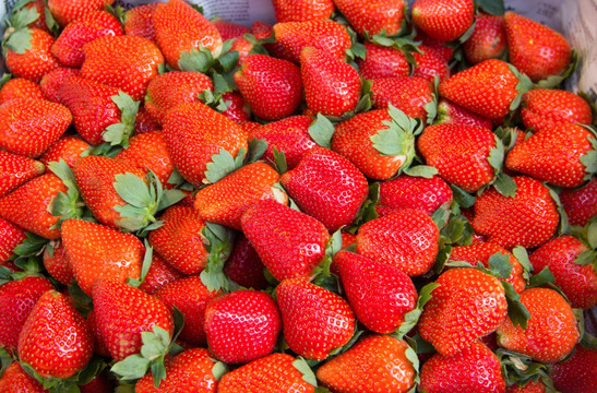 草莓 水果包装