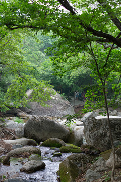 老边沟风景