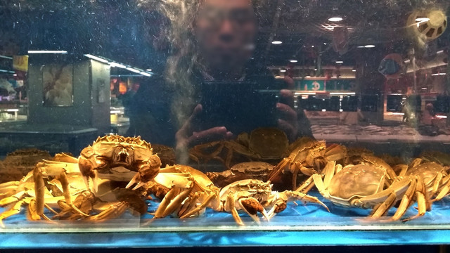 螃蟹 河蟹