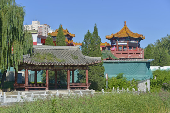 元土城遗址公园 紫薇入画