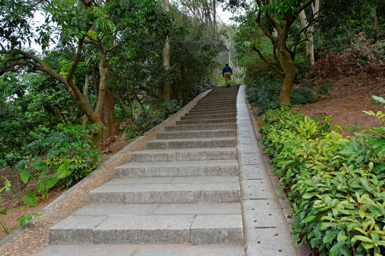 台阶路