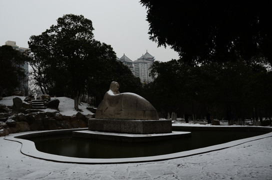 兴庆宫冬景