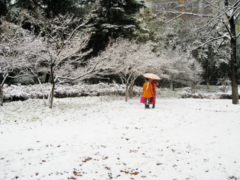 2015江东第一场雪