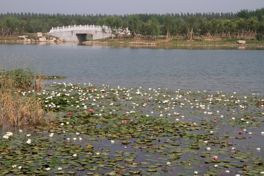 马踏湖风光