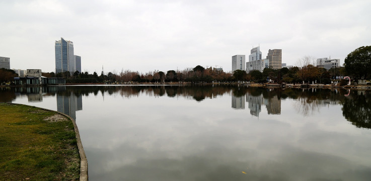 城市 街道 绿化