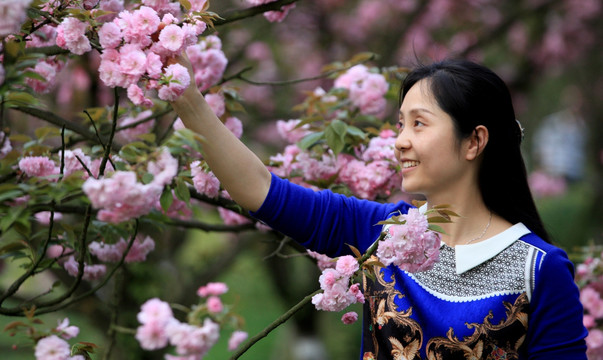 樱花 美女