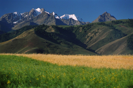 高原风光 天山风光