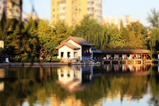 城市公园