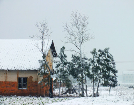 乡村冬雪